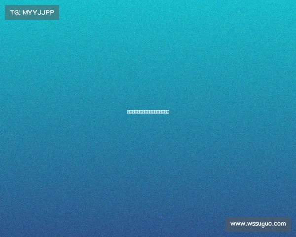 赛事活动指南格式详解与实用操作手册